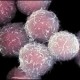 ของเหลือจากการผ่าตัดหัวใจคือแหล่งทรัพยากร stem cells