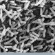 Escherichia coli 0157