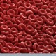 Image of the week 1 : Red Blood Cells