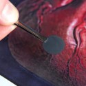 Beating heart Engineers at Brown University have created a nanopatch for the heart that tests show restores areas that have been damaged, such as from a heart attack. Credit: Frank Mullin/Brown University