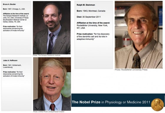 Nobel Prize in Physiology Medicine 2011 560x383 รางวัลโนเบล สาขาสรีรวิทยาหรือการแพทย์ ปี 2011