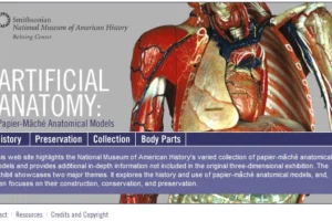 human body website