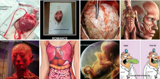 Medical Videos