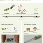 ภาพสรุปแบตเตอรี่ Mg–MoO₃ ในแคปซูล พร้อมการประยุกต์กับแท็ก RFID และการกระตุ้นกระเพาะอาหาร