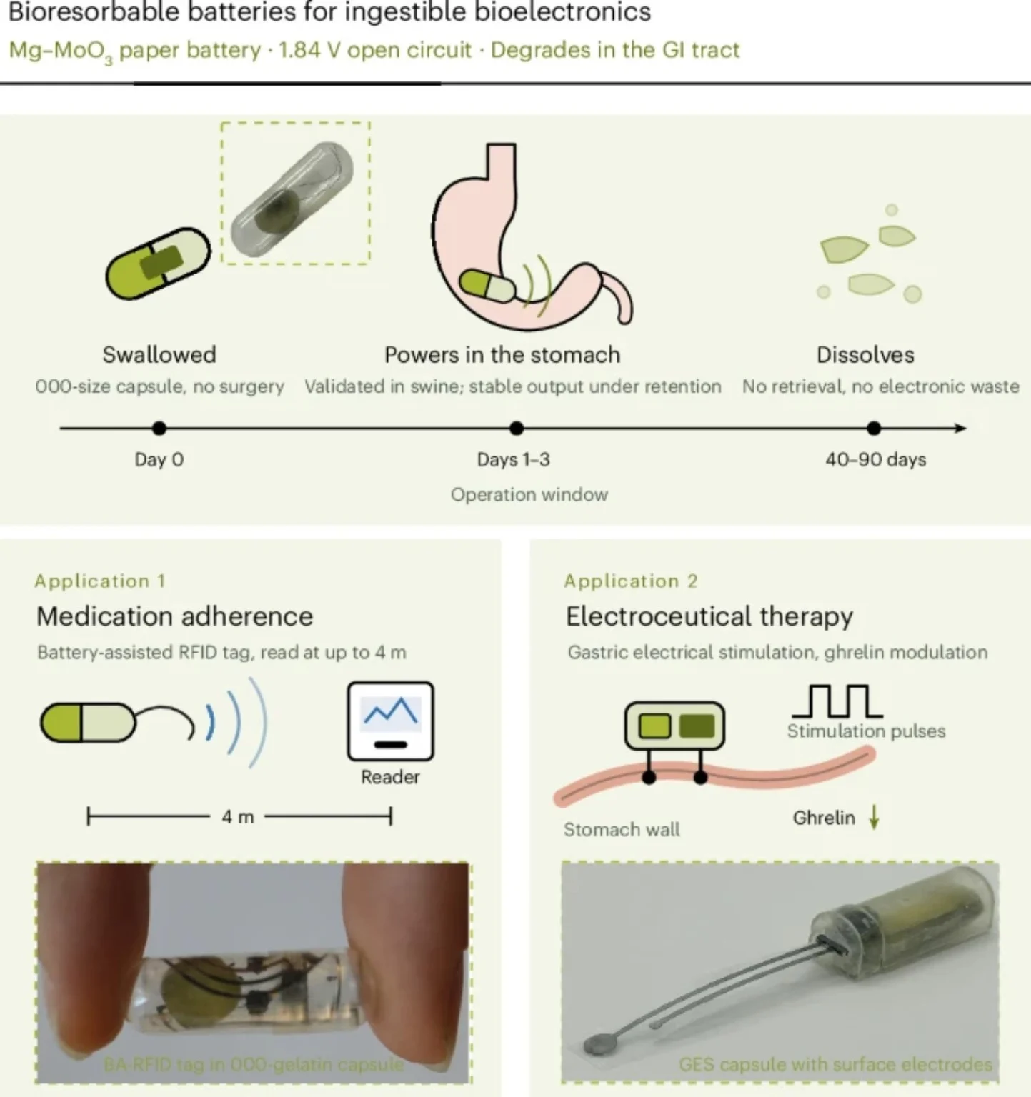 ภาพสรุปแบตเตอรี่ Mg–MoO₃ ในแคปซูล พร้อมการประยุกต์กับแท็ก RFID และการกระตุ้นกระเพาะอาหาร