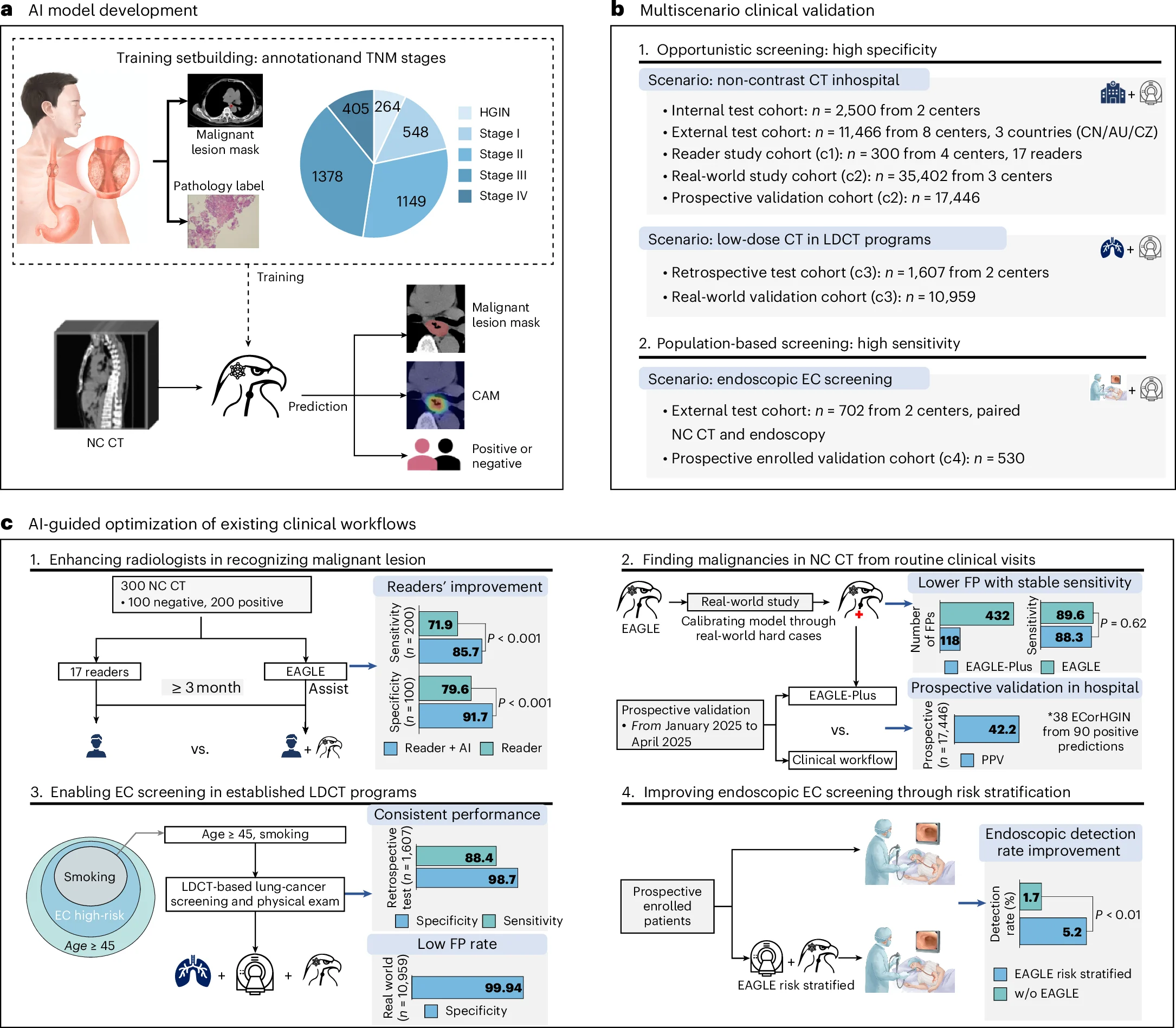 Figure 1 ของ EAGLE แผง a แสดงการฝึกและอ่าน CT แผง b แสดงกลุ่มตรวจสอบ และแผง c แสดงแนวทางนำไปใช้ในระบบคัดกรอง