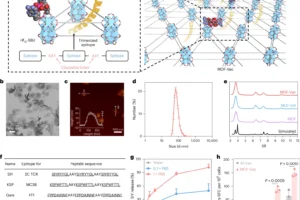 Figure 1 แสดงโครงสร้าง MOF-Vac ภาพวัสดุนาโน และกราฟการปล่อยแอนติเจนกับการตอบสนองทางภูมิคุ้มกัน