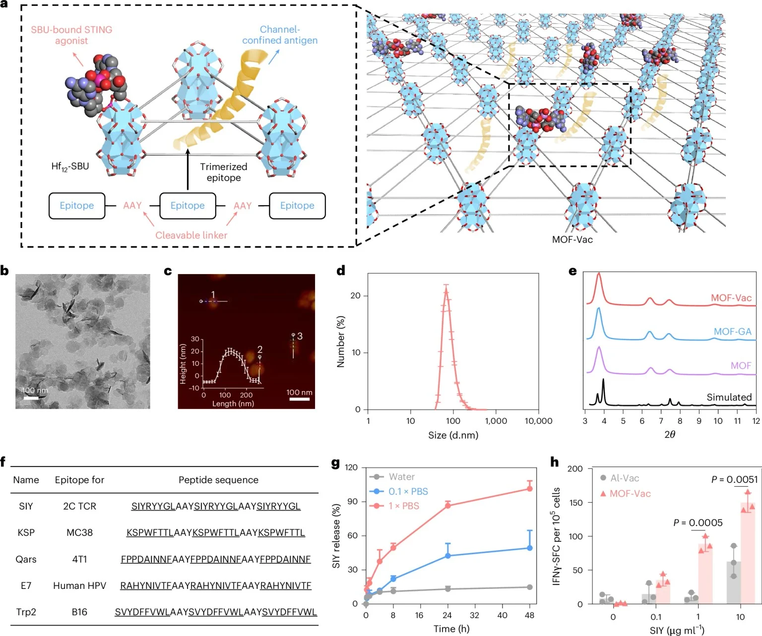 Figure 1 แสดงโครงสร้าง MOF-Vac ภาพวัสดุนาโน และกราฟการปล่อยแอนติเจนกับการตอบสนองทางภูมิคุ้มกัน