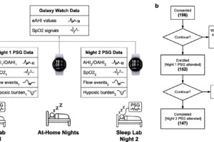 ภาพการออกแบบการศึกษา แสดงการตรวจ PSG พร้อม Galaxy Watch สองคืนคั่นด้วยการใส่นาฬิกาที่บ้าน และแผนผังผู้เข้าร่วม 152 คนซึ่งตรวจครบ 147 คน