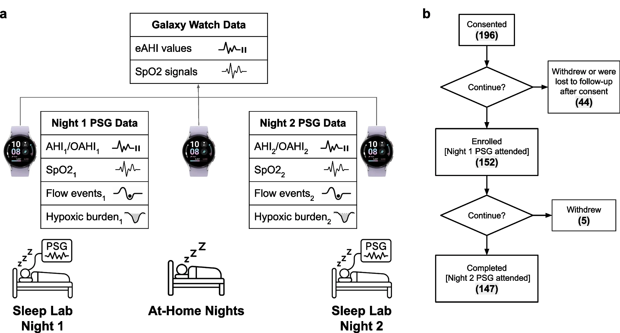 ภาพการออกแบบการศึกษา แสดงการตรวจ PSG พร้อม Galaxy Watch สองคืนคั่นด้วยการใส่นาฬิกาที่บ้าน และแผนผังผู้เข้าร่วม 152 คนซึ่งตรวจครบ 147 คน