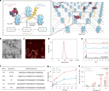 Figure 1 แสดงโครงสร้าง MOF-Vac ภาพวัสดุนาโน และกราฟการปล่อยแอนติเจนกับการตอบสนองทางภูมิคุ้มกัน
