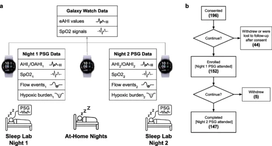 ภาพการออกแบบการศึกษา แสดงการตรวจ PSG พร้อม Galaxy Watch สองคืนคั่นด้วยการใส่นาฬิกาที่บ้าน และแผนผังผู้เข้าร่วม 152 คนซึ่งตรวจครบ 147 คน