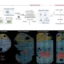 ภาพสองส่วนของ SpaceA: A ขั้นตอนติดรหัสตำแหน่งและเตรียมตัวอย่างอ่านลำดับ DNA; B แผนที่ชิ้นเนื้อตัวอ่อนหนูช่วง E11.5 ถึง E14.5 แสดงกลุ่มสมอง ตับ และเนื้อเยื่อพยุงด้วยสีต่างกัน