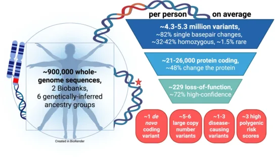 ภาพสรุปความแปรผันของ DNA ในจีโนมคนทั่วไป จากการศึกษาผู้ใหญ่เกือบ 9 แสนคน
