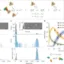 แผนภาพการประกอบตัวของอนุภาคคล้ายไวรัส mi3-VLP และผลการวัดมวลด้วย mass photometry